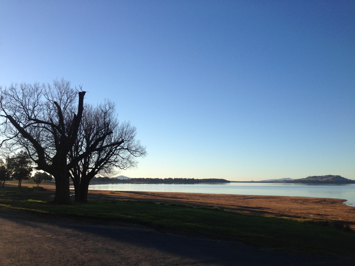 South Walney Master Plan: your chance to get involved with Art Gene in designing a new plan for the&nbsp;site.