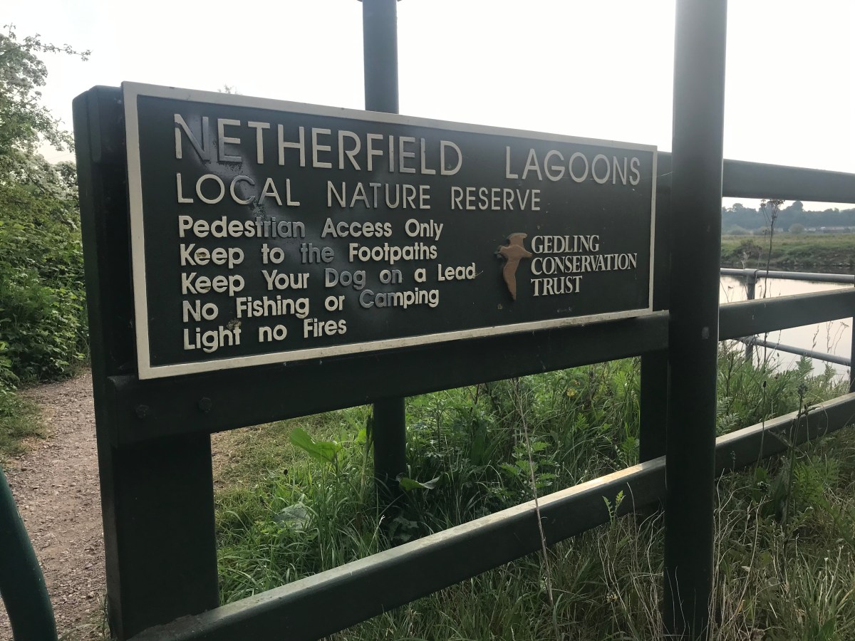 The Story of the 2.6 Campaign: the A-Ha&nbsp;Moments